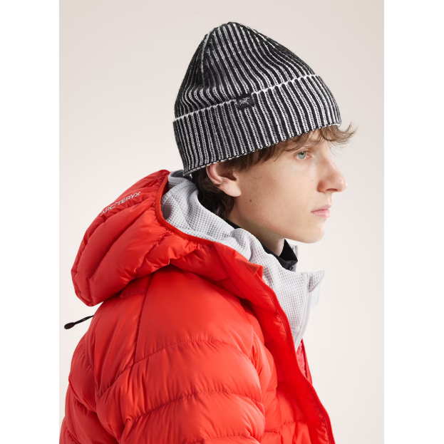 Arc'teryx Ribbed Toque