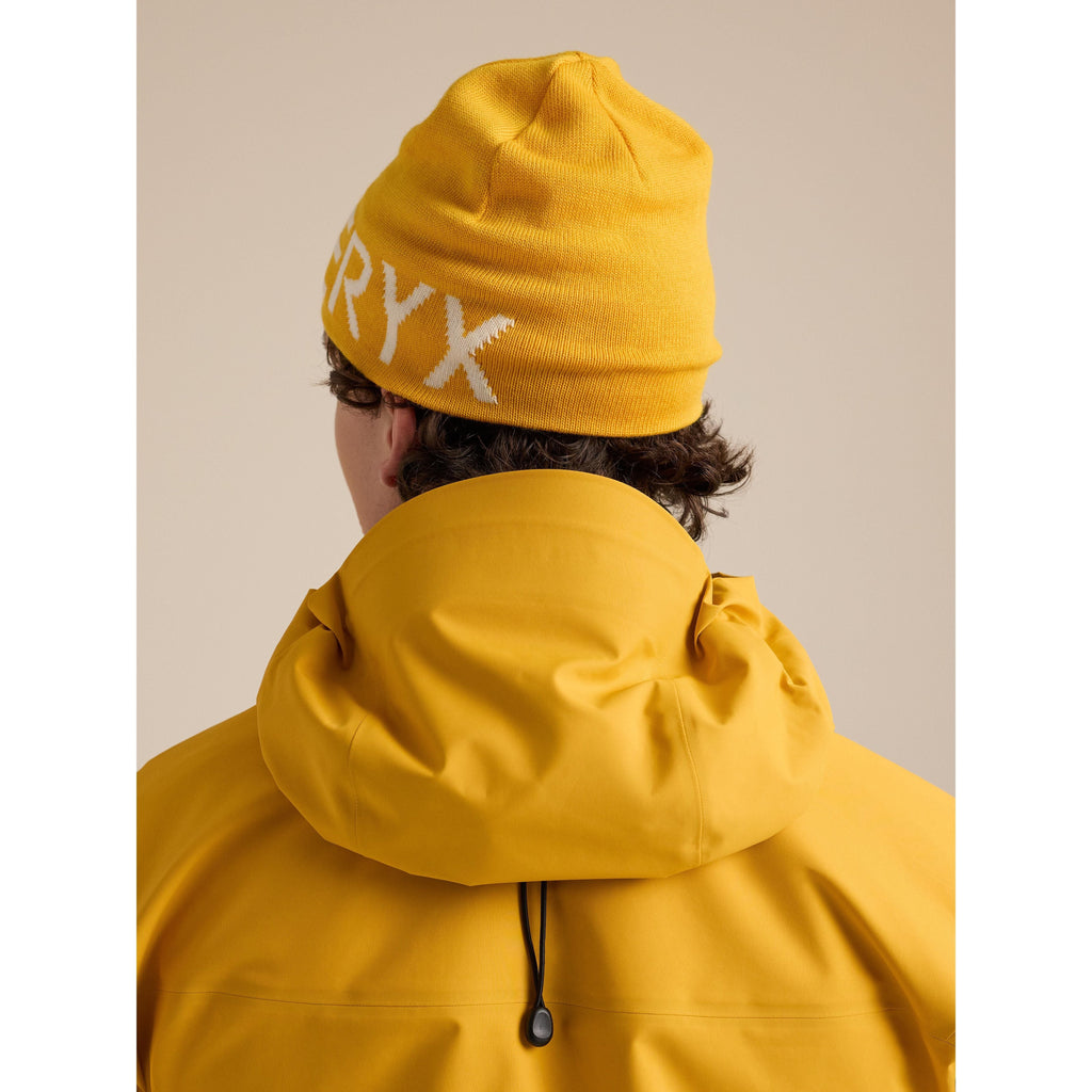 Arc'teryx Word Head Toque