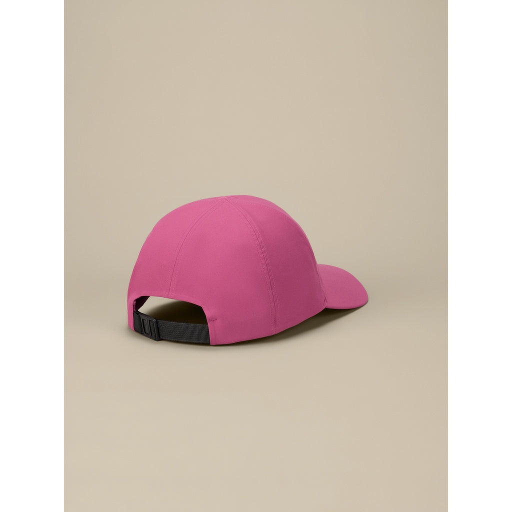Arc'teryx Men's Bird Word Cap