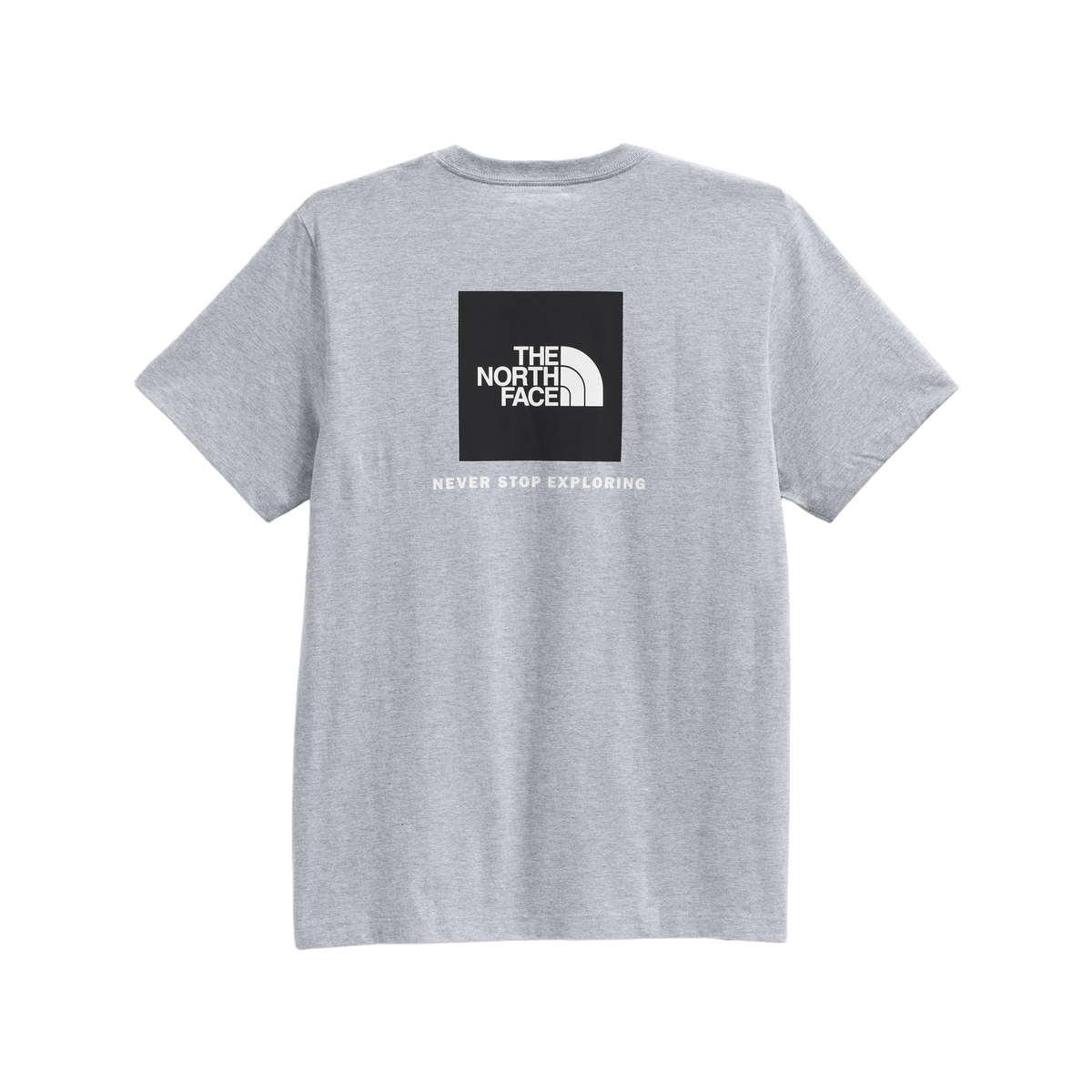 The North Face Men's Evolution Box NSE Regular Short Sleeve
