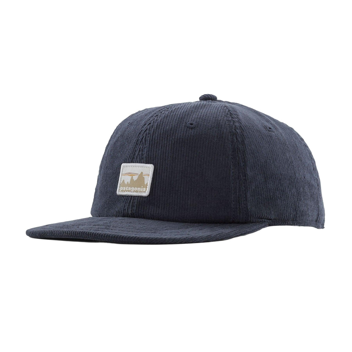 Patagonia Corduroy Cap