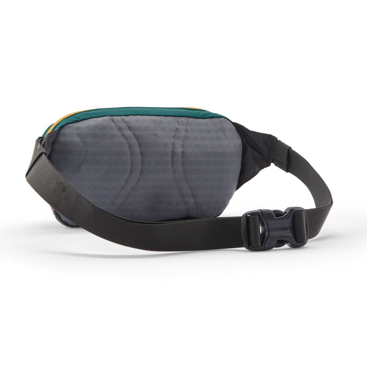 Patagonia Terravia Mini Hip Pack 1L