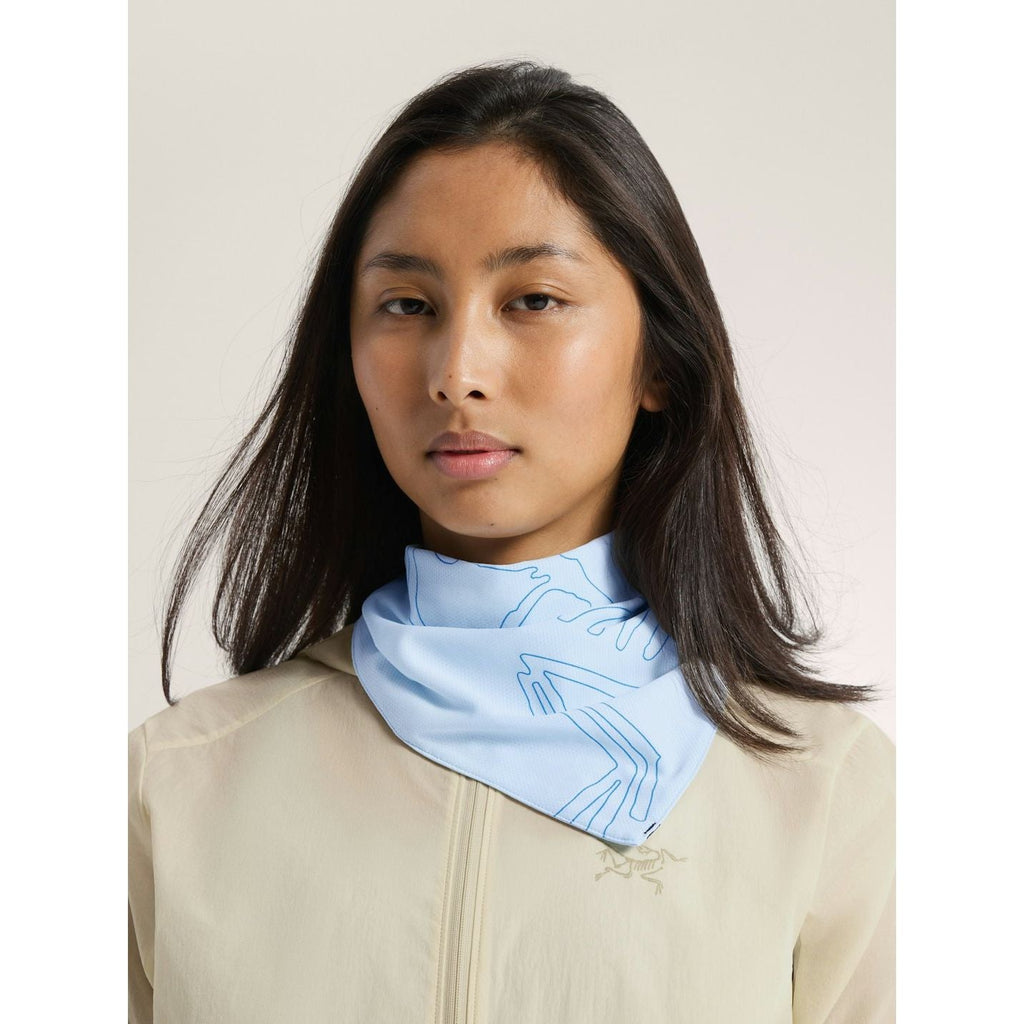 Arc'teryx Sinsolo Bandana