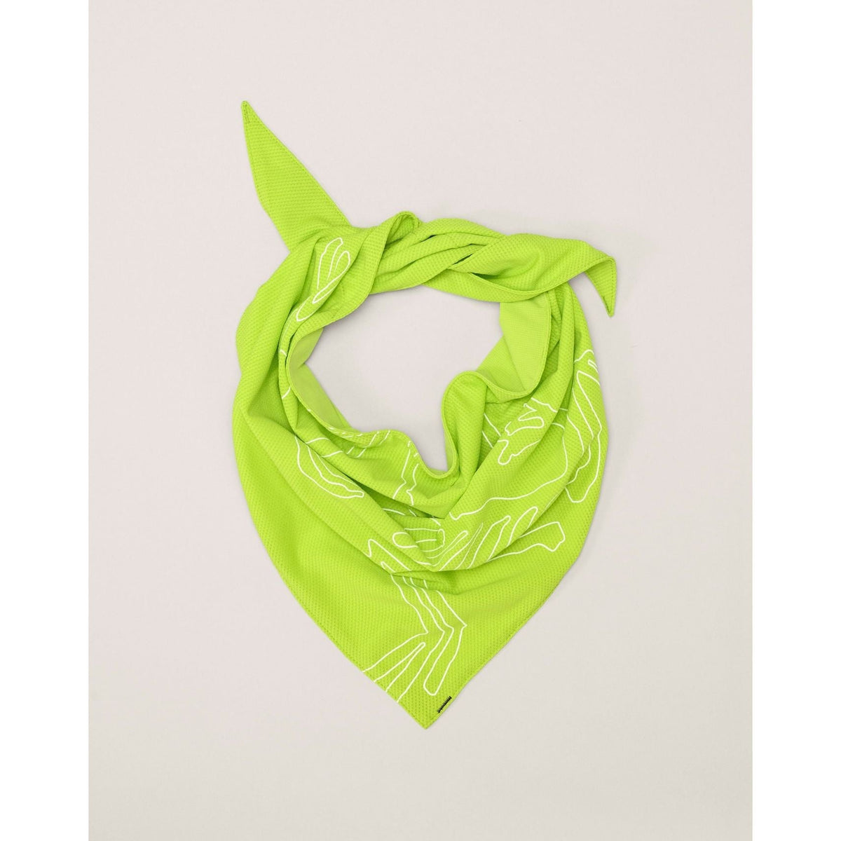 Arc'teryx Sinsolo Bandana